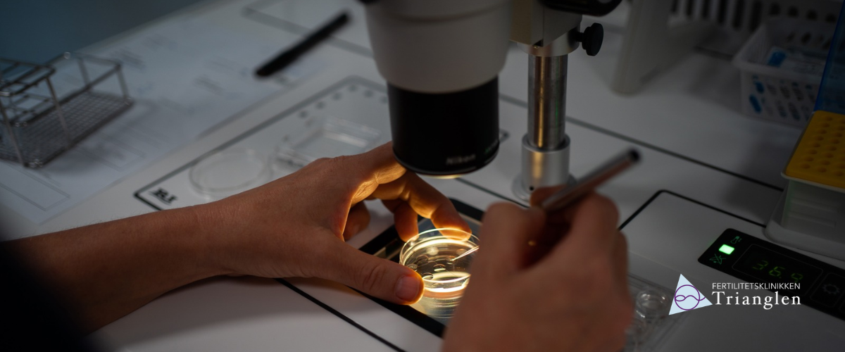 Fertilitetsklinikken Trianglen – fertilitetsklinik i Köpenhamn